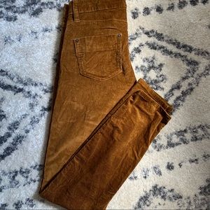 Patagonia Corduroy Pants